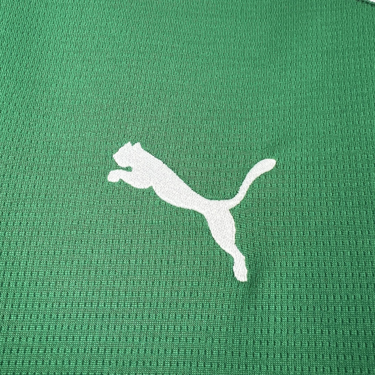 MAILLOT PALMEIRAS DOMICILE 2027