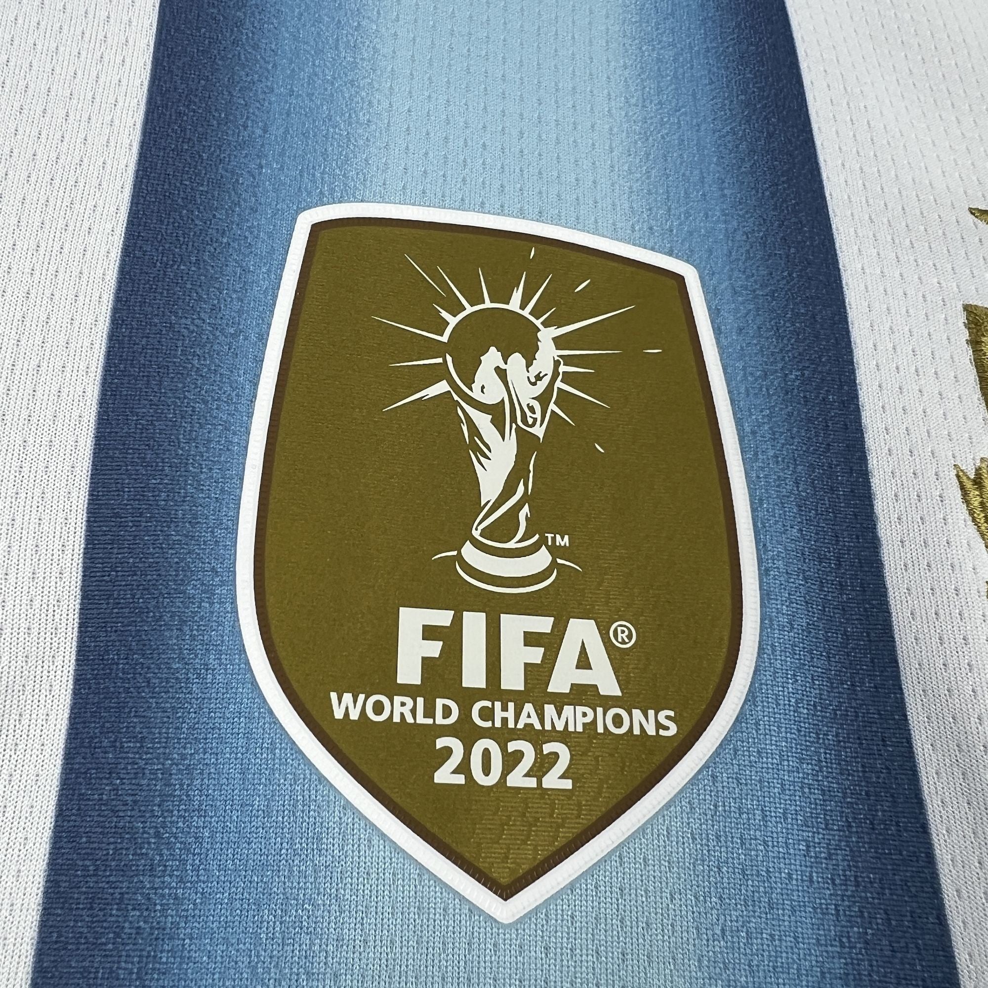 MAILLOT ARGENTINE DOMICILE 2026