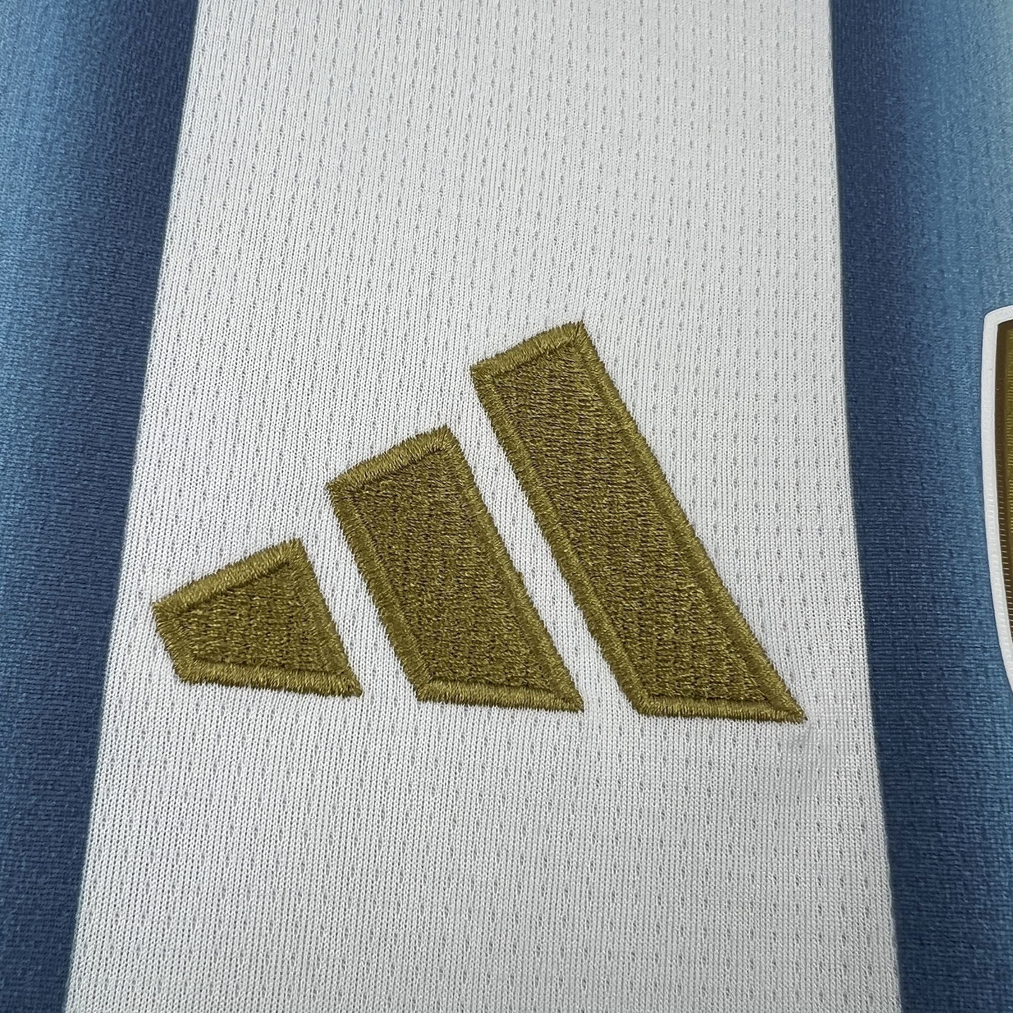 MAILLOT ARGENTINE DOMICILE 2026
