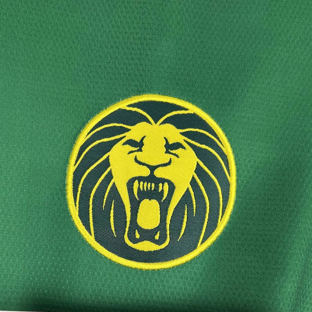 MAILLOT CAMEROUN DOMICILE 2026