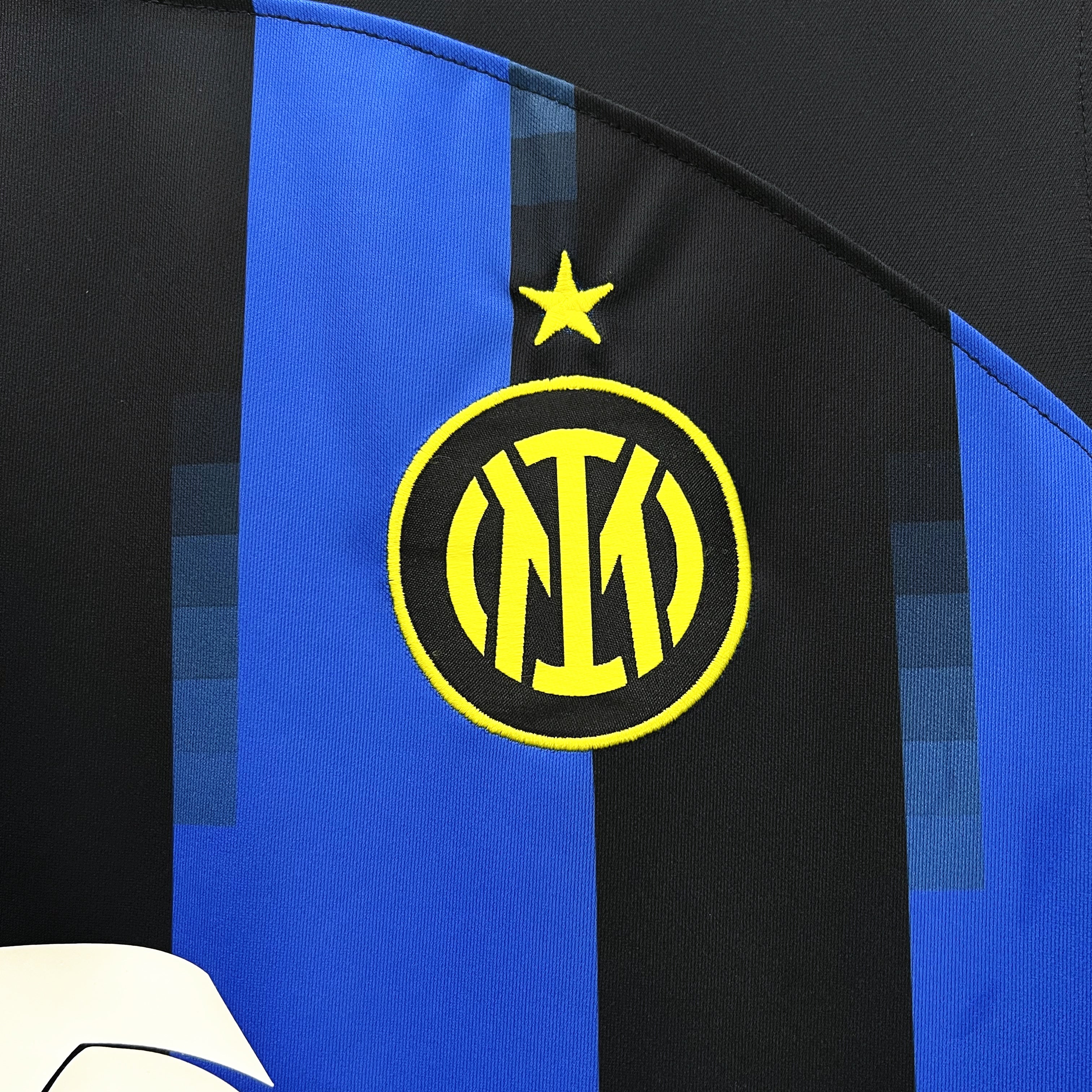 MAILLOT INTER MILAN DOMICILE X NINJA TURTLE 2024